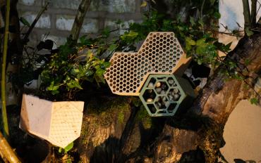 Modular Bundle