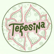 “Teresina” written in pink and green over a pale green and pink floral background