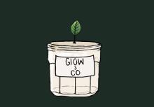 A candle in a jar with a soy leaf as a flame