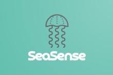 Cyan background with a jellyfish image over the words seasense