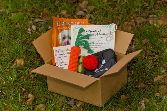 Photos of products in box