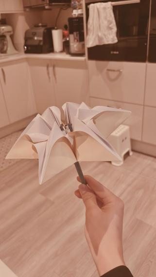 Beautiful paper flower !