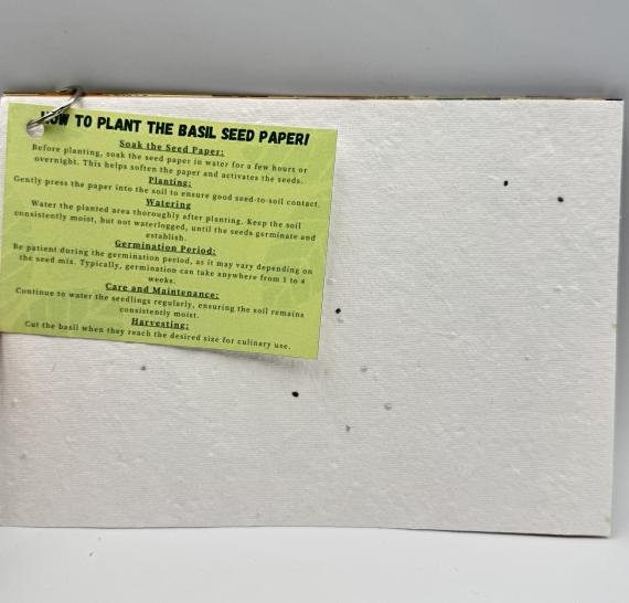 Seed paper card for basil.