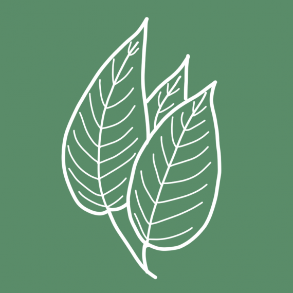 Alumni Tutoring Logo