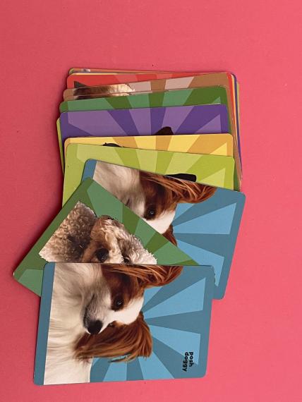 A more detailed look at the front of the cards