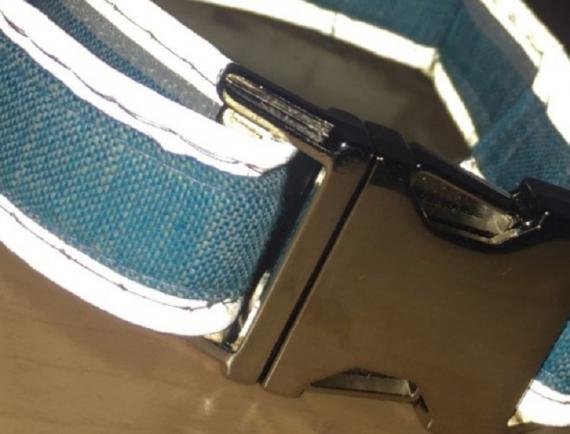 Collar showcasing the Reflective Piping.