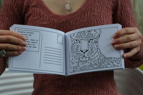 One of the inside pages