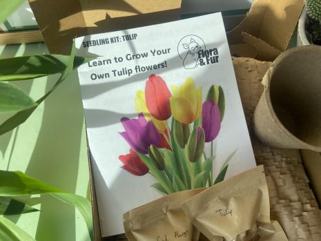 Tulip Kit 2