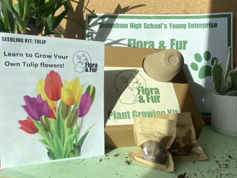 Tulip Kit 1