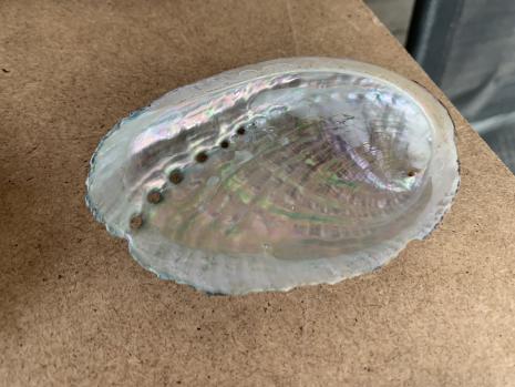 Image of shiny shell tray