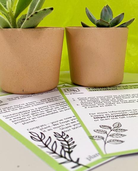 our information cards