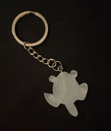 turtle keychain