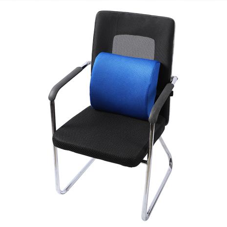Blue Spine Support on Chair