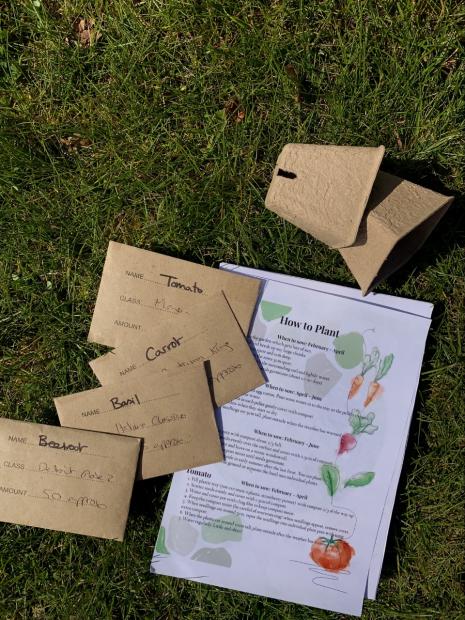 Planting instructions and seeds