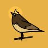 Brown goldcrest bird on a yellow background