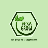 HexaGrow - Six Sides to a Greener Life
