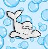 Beluga whale with bubbles